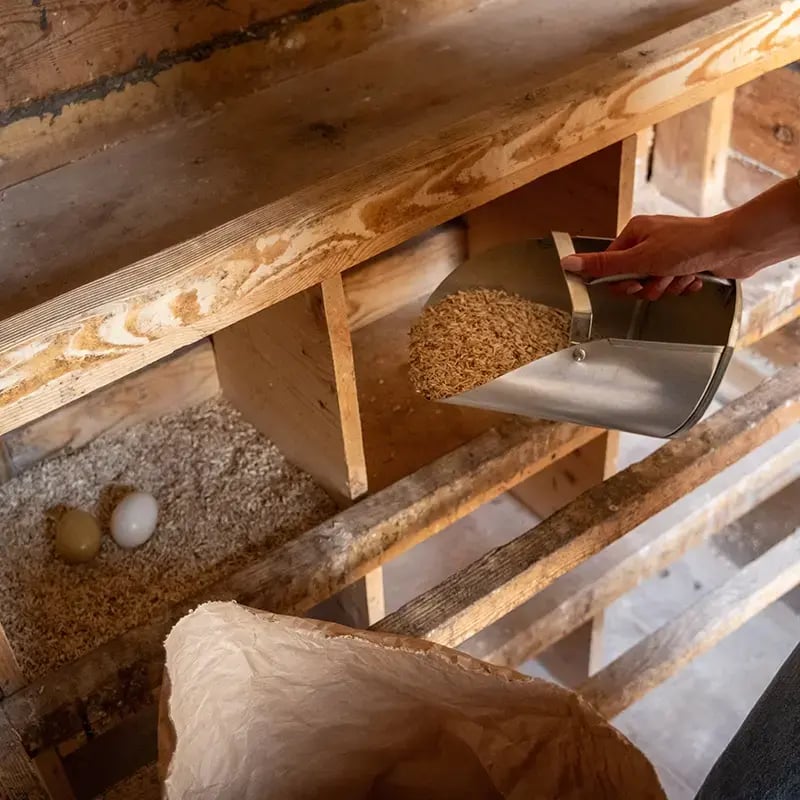 Chicken-Coop-with-Green-Fox-Hemp-Hurd