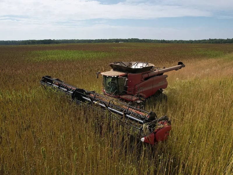 Sustainable Farming- Green Fox Companies Pledge to Green Growing