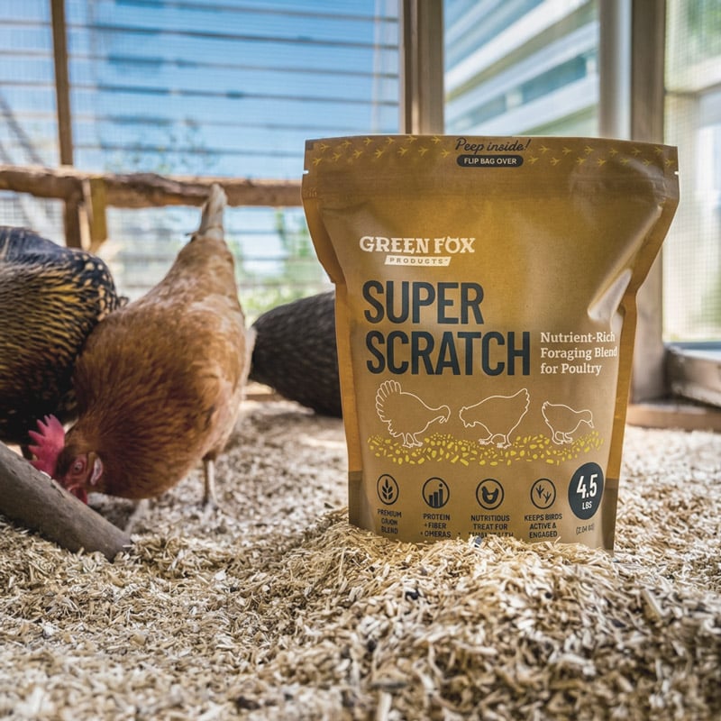 SuperScratch-InCoop-1