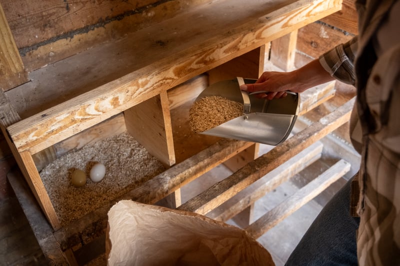 hemp chicken bedding