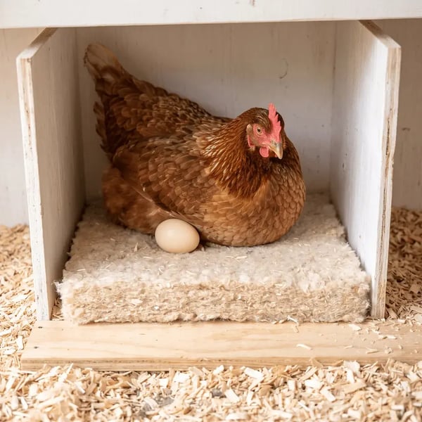 hemp poultry nesting box pads