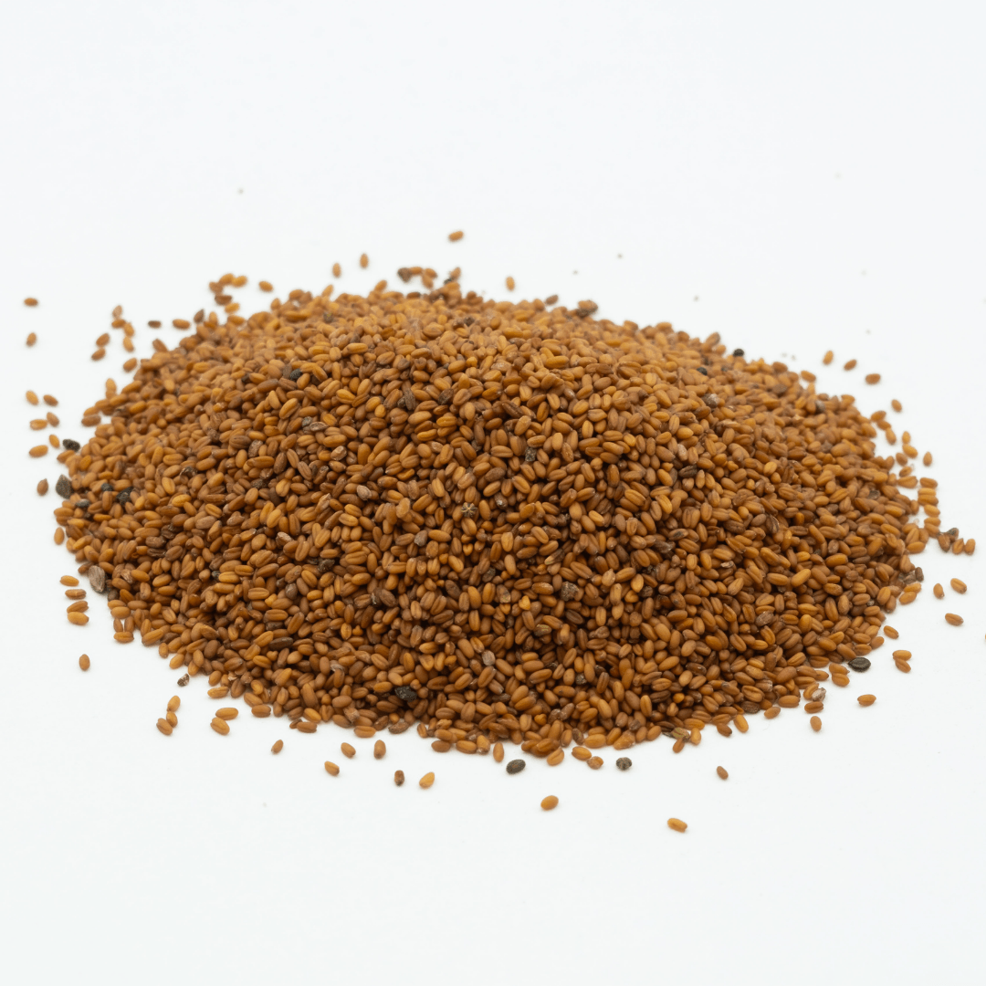 camelina seeds for animal feed