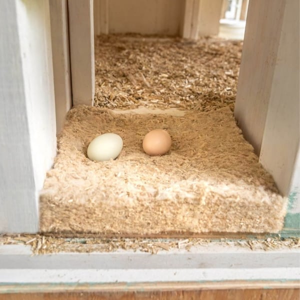 chicken nesting pad for egg protection