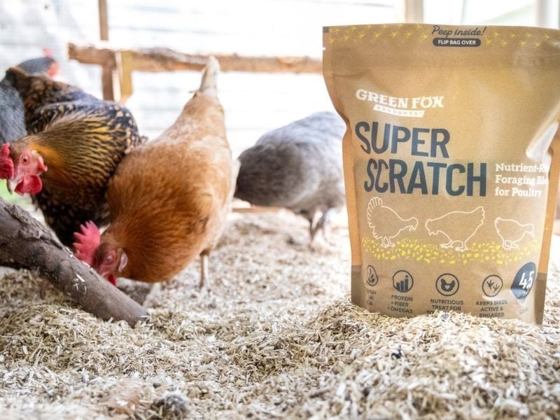 green fox chicken super scratch grain