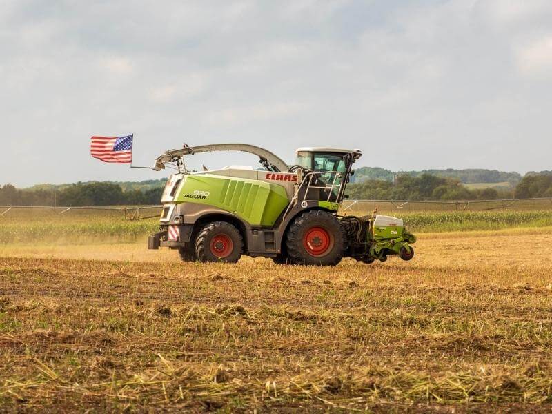 industrial hemp harvest (2)