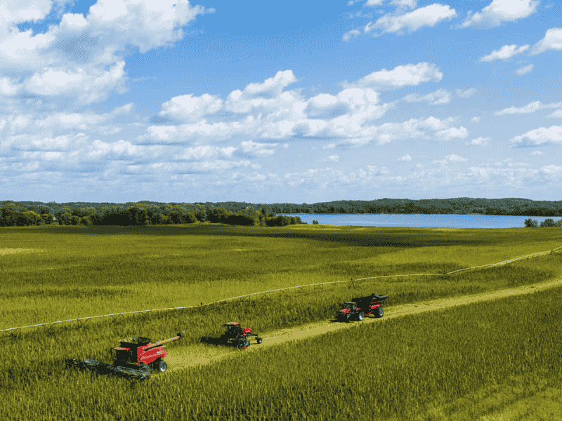 minnesota grown industrial hemp (1)