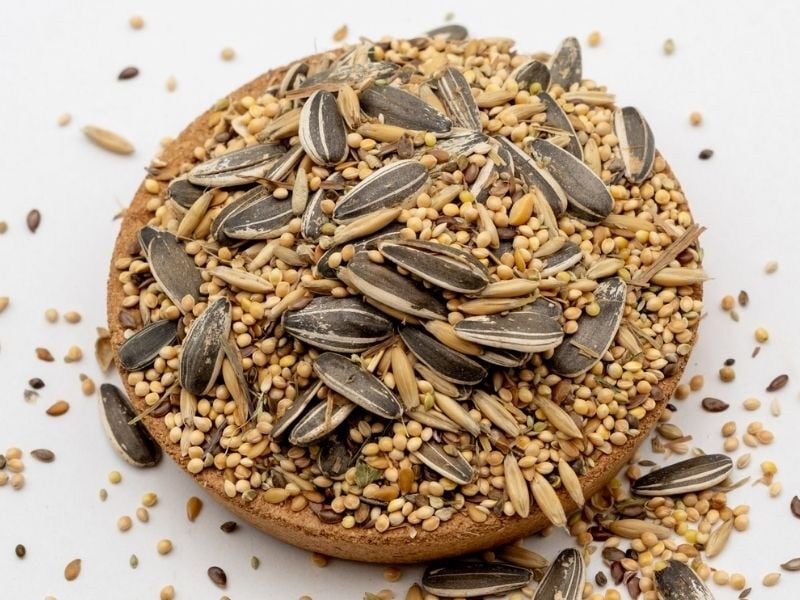 non-gmo grains for chickens