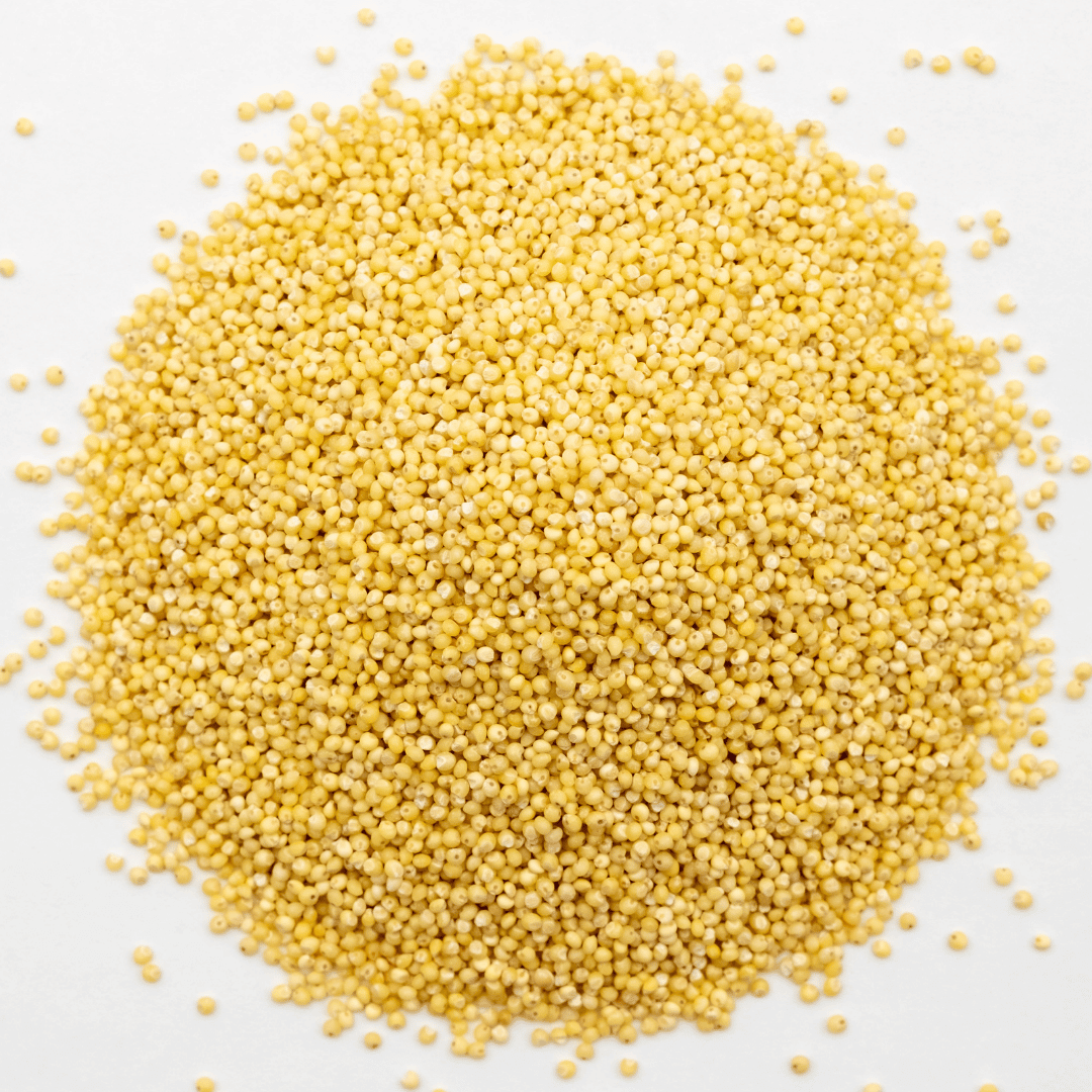 organic millet (1)