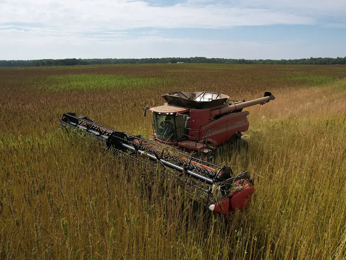 Sustainable Farming: Green Fox Companies' Pledge to Green Growing