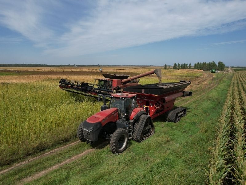 green fox industrial hemp