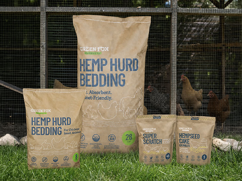 3 chicken care essentials to keep your flock healthy
