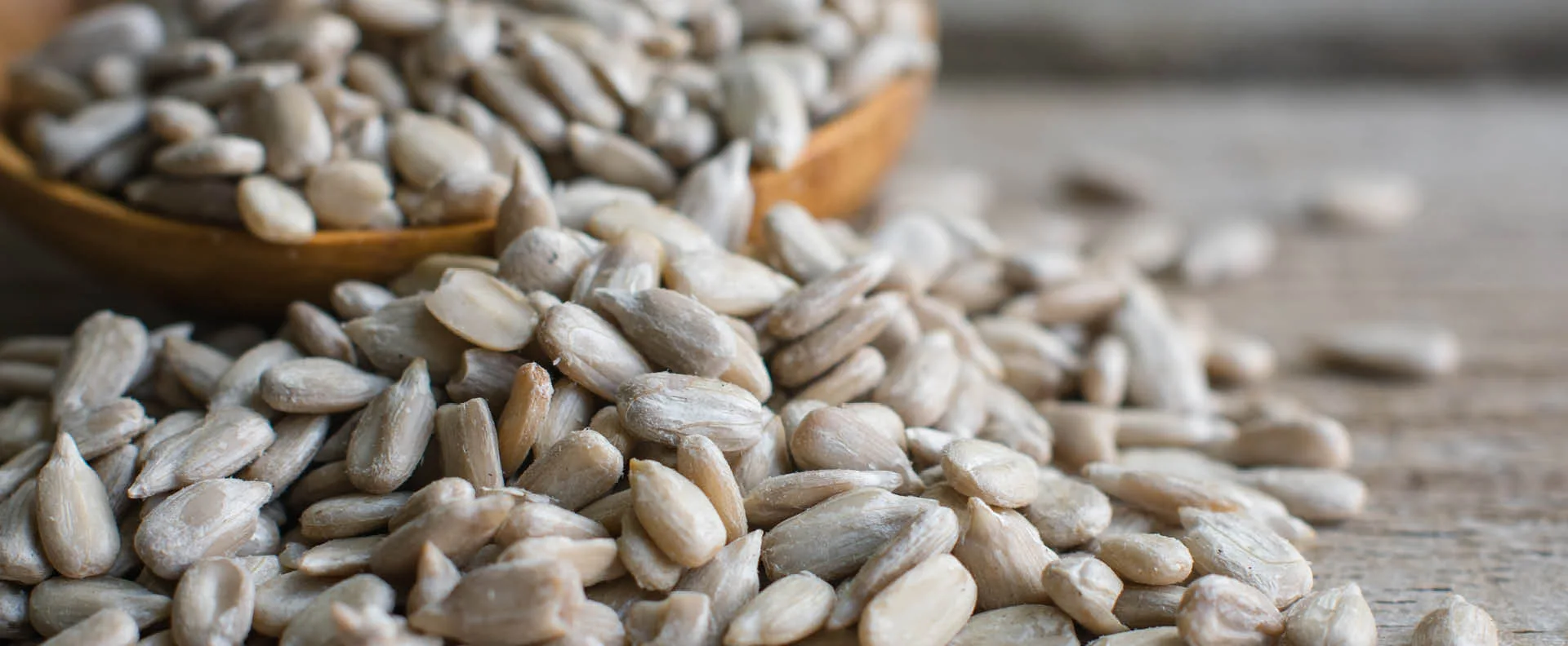 Sunflower Seeds Wholesale Green Fox