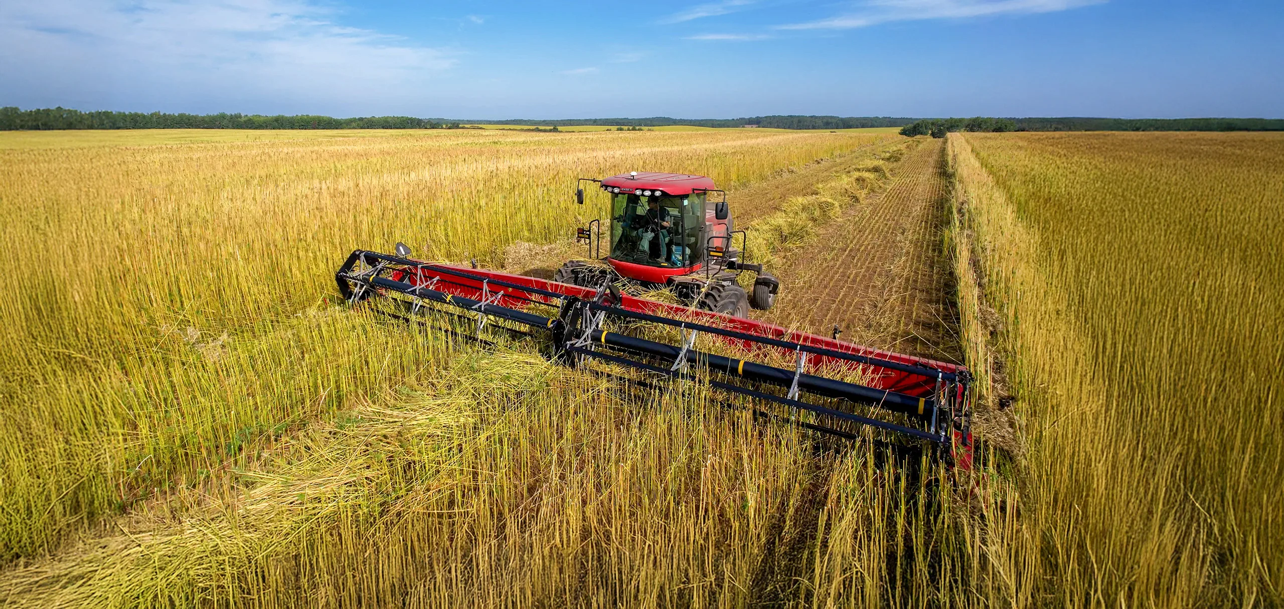 Greenfox Hemp Swather
